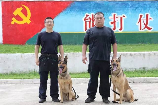 儿童如何在游戏中学习篮球技术_2